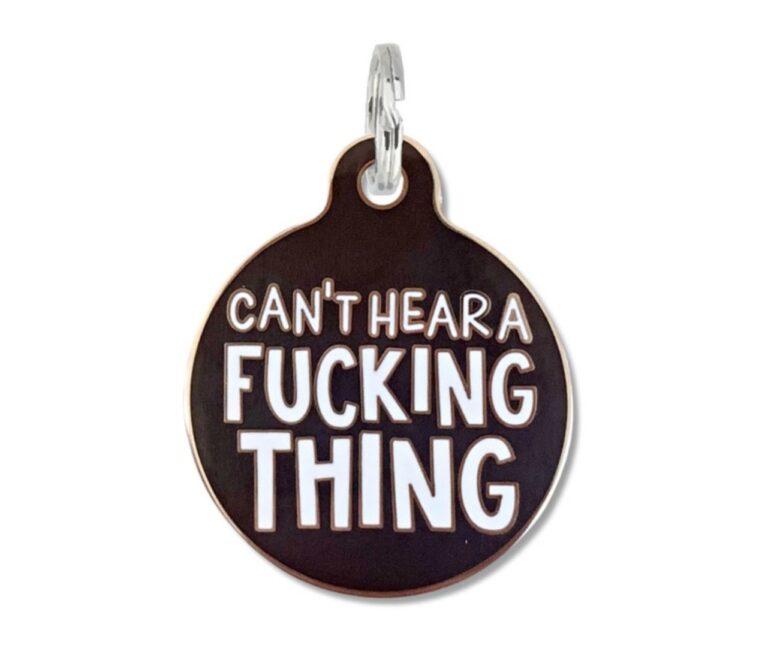 Can't Hear a Fucking Thing